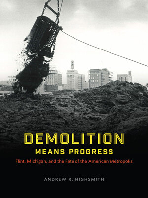cover image of Demolition Means Progress
